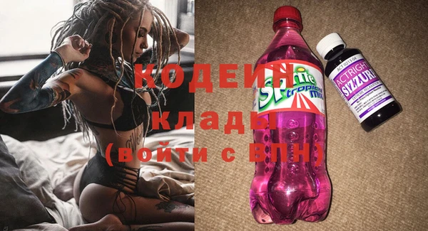 МДПВ Осинники