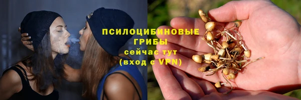 МДПВ Осинники