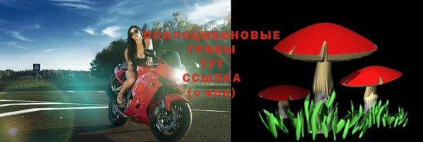 СК Осташков