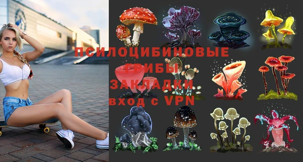 МДПВ Осинники