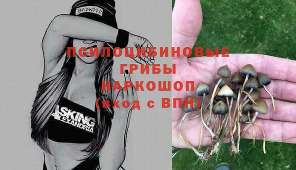МДПВ Осинники