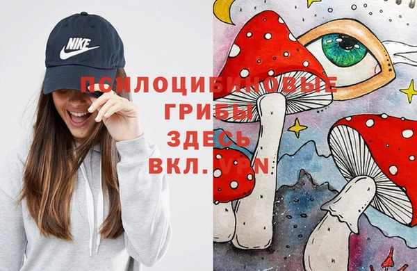 МДПВ Осинники